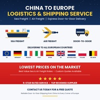Transport aérien et maritime avec DDP pour l'expédition LCL+Express