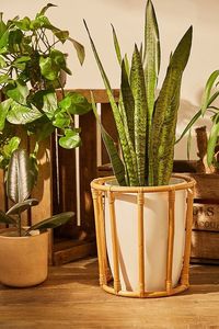 Macetas decorativas hechas a mano de hierro tejido de ratán, diseño personalizado, macetas para interiores y exteriores, macetas hechas a mano - Product Image 6