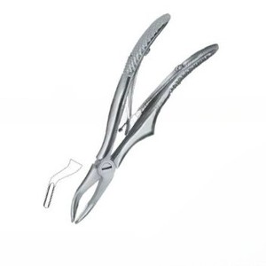 Forceps d'extraction dentaire manuels de qualité supérieure avec logo personnalisé, modèle Fig.51 S, en acier inoxydable, instruments chirurgicaux certifiés CE - Product Image 4