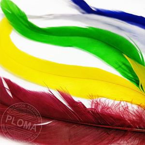 6pcs 15cm Rooster Natural <b>Feathers</b> for Crafts - Product Image 6