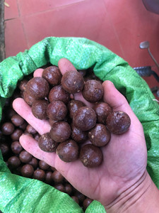Deliciosa nuez MACCA de Vietnam, nuez MACCA asada seca para bocadillos energéticos e ingredientes para hornear, calidad de exportación a granel - Product Image 6