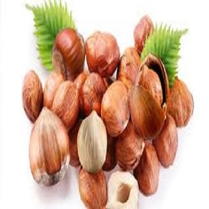 Bester Lieferant Rohe Haselnuss kerne In Shell Zum Verkauf billig Haselnuss Bulk Bio Geröstete Haselnuss
