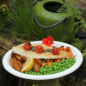 Elegantes platos desechables que imitan la apariencia de cerámica sin el peso Platos desechables con tamaños personalizados Colores y embalaje - Product Image 1