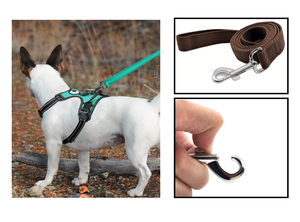소형, 중형 및 대형견용 나일론 개 훈련용 웨빙 리드 트랙션 로프 - Product Image 5
