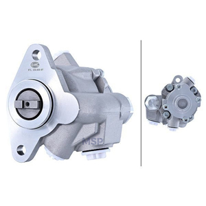 8TL359000971 - Bomba Hidráulica, Dirección - Hidráulica - Repuestos y Accesorios para Camiones - MSP Export - Product Image 1