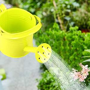 Arrosoir de fleurs galvanisé Arrosoir décoratif en métal antique Créations Arrosoir en métal avec poignée latérale - Product Image 6