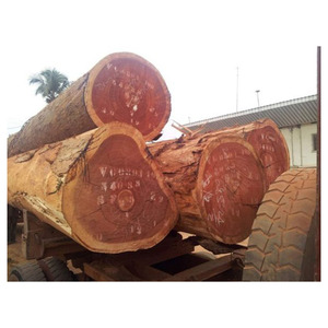 Troncos de madera Sapele disponibles en volumen para gabinetes y paneles - Product Image 2