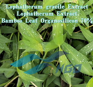 HGO Factory Direct Supply Natürlicher Lophatherum-Gracile-Extrakt/Lophatherum-Extrakt (Lebensmittel qualität) Bambusblatt-Organo silicium 70% - Product Image 2