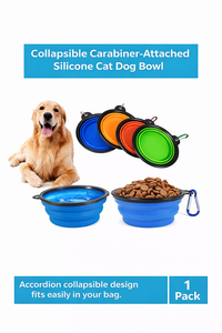 Tazón Portátil Plegable de Plástico de Alta Calidad para Comida y Agua para Perros y Gatos, con Gancho para Colgar, Capacidad de 0-1L, Práctico para el Hogar y Viajes - Product Image 2