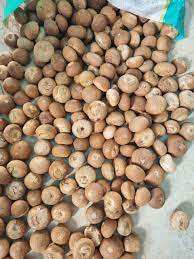 Noci di <span class=keywords><strong>Betel</strong></span> Essiccate con 24 Mesi di Conservazione, Conservazione in Luogo Fresco e Asciutto, in Vendita - Product Image 3