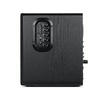 Pour le marché américain usage domestique 100W RMS 5 pouces Woofer 2 canaux stéréo système de cinéma maison haut-parleur alimenté
