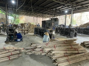 Tube de poteaux en bambou Moso vietnamien pour plante/jardin - Product Image 3