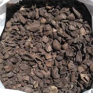 Precio al por mayor Palm Kernel Shell Dry Palm Kernel PKS Indonesia Aceite de palma para la industria del combustible y la construcción - Product Image 6