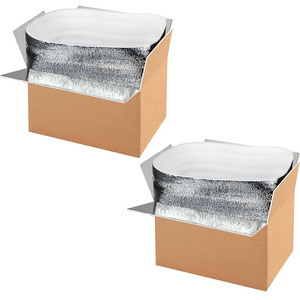 Nhôm lá mỏng lót vận chuyển hộp cách nhiệt lạnh gói Đông lạnh tái sử dụng xốp Cooler nhỏ gửi thư cách điện hộp - Product Image 1