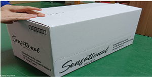 Assiettes jetables blanches |   Robuste et étanche |   Pack de fête biodégradable de 40 pièces - Product Image 3