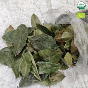 Lá Mãng Cầu khô {graviola Leaf} Việt Nam - Product Image 5