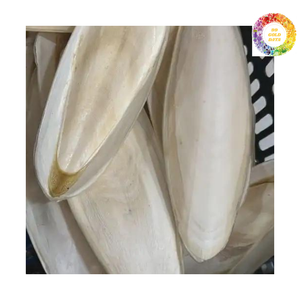 Hueso de sepia secado directo de fábrica de Vietnam, sepia natural segura para pájaros y reptiles, disponible para exportación - Product Image 1