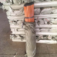 Balai en bois avec manche en PVC et poils doux, design portable, écologique, vente en gros en Chine