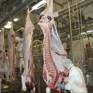 Carne de Caballo Entera Congelada Orgánica Premium de Canadá con 12 Meses de Vida Útil en Venta - Product Image 1