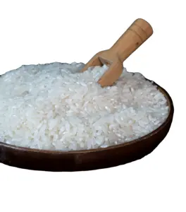 Vietnamese High-Quality Short Rice - Medium Grain, 100% Pure Silky Sortex Clean - Premium Vietnamese Rice - HOT HOT HOT