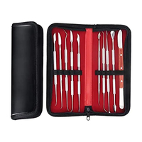12 pièces Kit de sculpteurs de cire équipement de laboratoire ensemble d'outils de sculpture de cire Kit en acier inoxydable outil de dentiste de sculpteur de cire