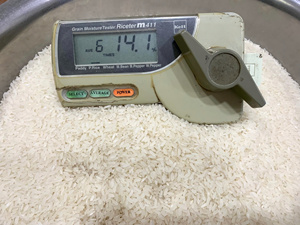 ราคาขายส่งข้าวหอมมะลิเวียดนามเมล็ดยาวมาตรฐานส่งออกวิลาโคนิค - Product Image 6