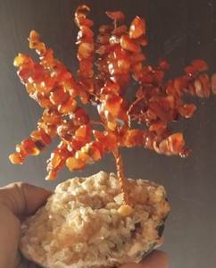 Virutas de Cornalina Roja, Piedra Preciosa Natural con Base de Apofilita, Árbol del Dinero con Piedra Curativa - Product Image 1