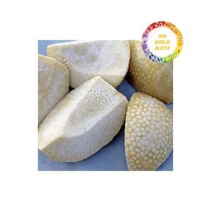 ขนมปังกรอบแช่แข็งแปรรูปจากเวียดนามโดย99ข้อมูลทองคำที่มีคุณภาพมาตรฐานสูงและบรรจุภัณฑ์แบบกำหนดเองสำหรับความร่วมมือระยะยาว - Product Image 1