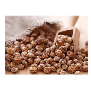 Noix tigrées en vrac disponibles à la vente à des prix abordables, idéales pour les épiceries et les commandes en gros - Product Image 4