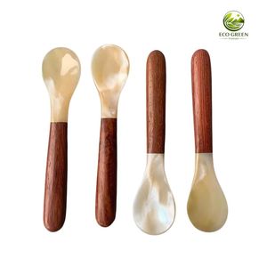 Natural Mother of Pearl <b>Spoon</b> Handmade Seashell <b>Spoon</b> with Resin Handle Luxury Caviar Dessert <b>Coffee</b> <b>Spoon</b> OEM ODM Custom Logo - Product Image 4