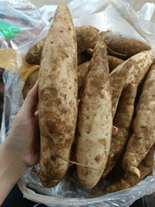 เผือกแช่แข็งที่มาจากเวียดนามเหมาะสำหรับการทำอาหารและการผลิตอาหาร - Product Image 2