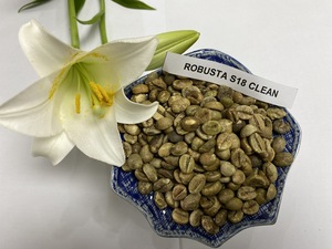 Venta Caliente de Granos de Café Verde Robusta de Vietnam, Alta Calidad, Suministro de Fábrica, Exportación al por Mayor - Product Image 6