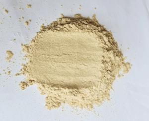 HARINA DE BAMBÚ EN POLVO-GRANEL ORGÁNICO NATURAL PURO DE VIETNAM/PRECIO BARATO Y ALTA CALIDAD - Product Image 5