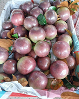 Verse Sterappel Vietnam Zoet Heerlijk Paars Melkachtig Fruit Betrouwbare Leverancier Voor Internationale Handel