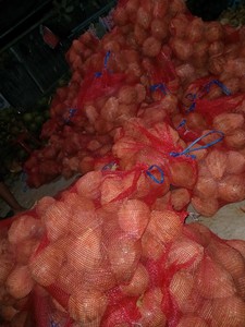 Noix de coco mature semi-décortiquée à l'exportation directe avec eau douce et rafraîchissante, bonne pour la cuisson, le mélange et la transformation des boissons - Product Image 2