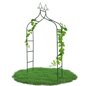 Arche en métal de jardin pour plantes grimpantes - Product Image 1