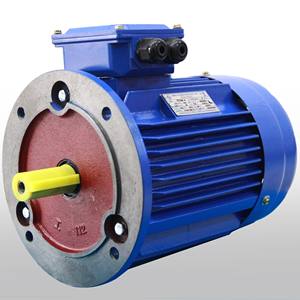 380V-50hz-60hz Nuevo motor eléctrico de CA a prueba de goteo Motor IP55 superior Trifásico Fabricantes de Vietnam Asíncrono - Product Image 4