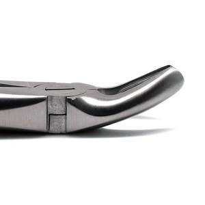 Pinzas de Extracción Manual, Tipo Pala, para Raíz Superior, de Acero Inoxidable, Ergonómicas, Reutilizables, Juego de Instrumentos de Cirugía General - Product Image 1