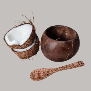 Cuencos de coco biodegradables sostenibles-Vajilla vegana y a base de plantas - Product Image 1