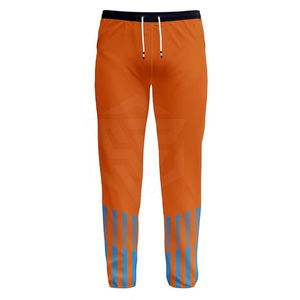 Kit de uniforme de cricket sublimado digitalmente de microfibra de alta calidad, diseño de patrón personalizado, Jersey y pantalón Oem disponible - Product Image 4