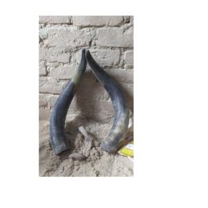 Cuerno par de búfalo artesanal moderno 100% cuerno par de búfalo y vaca de la mejor calidad real a precio barato y tamaño personalizado - Product Image 5