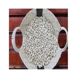 Haricots blancs de qualité supérieure en stock pour achat en gros avec expédition internationale - Product Image 5