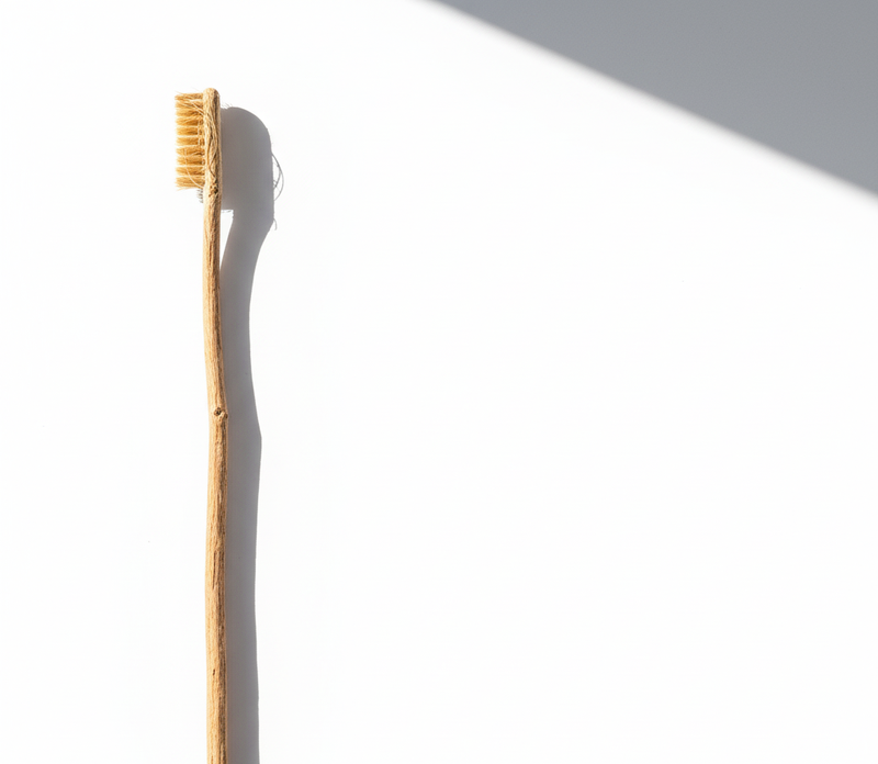 BioTrek Herbal Wooden Tooth Stick Organic