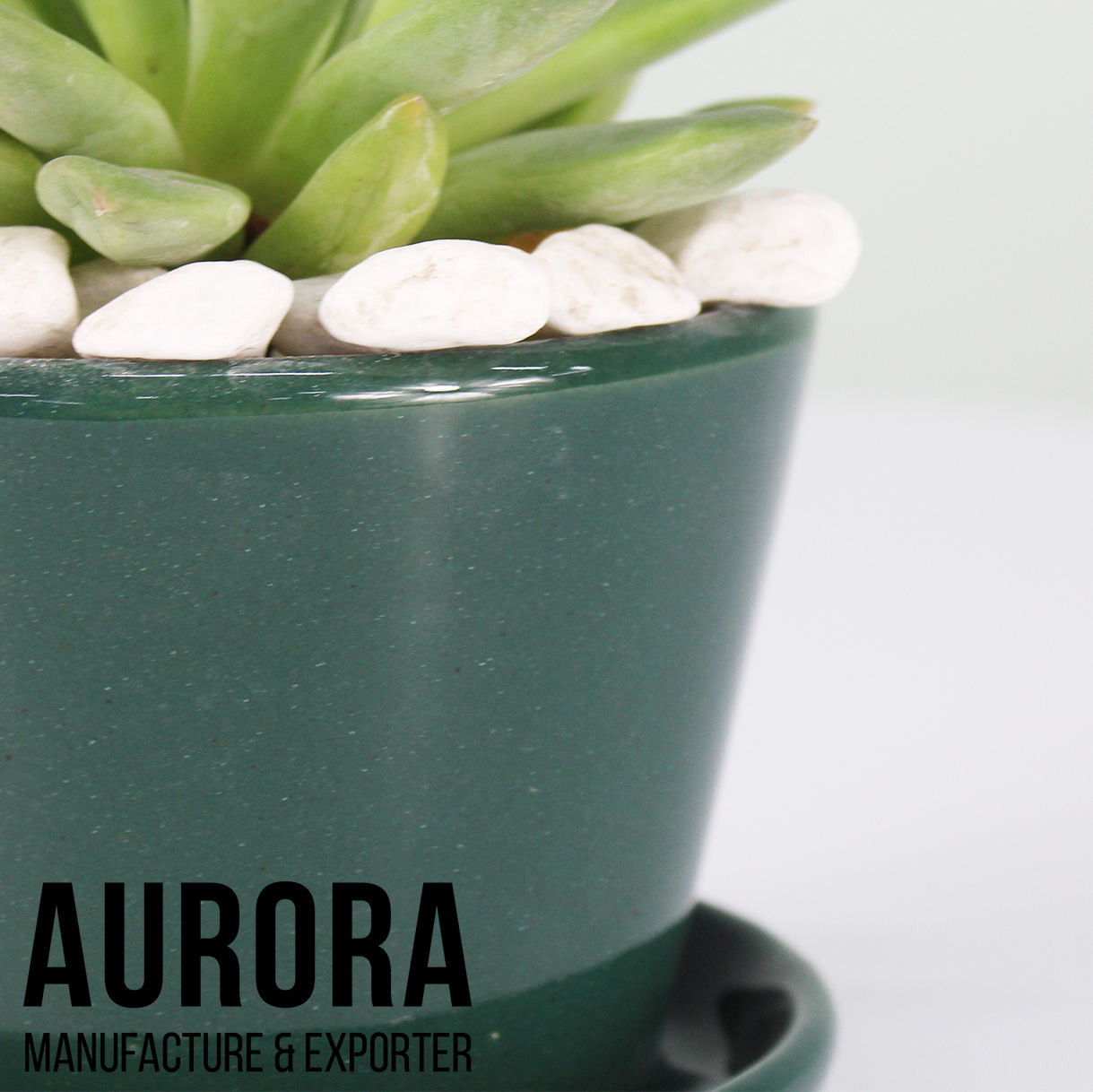 สีเขียว