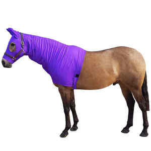 Tapis d'hiver chauds pour chevaux de haute qualité Oem Service personnalisé Logo personnalisé Équipement équestre Tapis pour chevaux en polaire respirant - Product Image 6