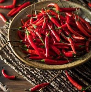 HIGH QUALITY <b>PICKLED</b> GREEN CHILI / PREMIUM EXPORT STANDARD / READY TO USE WORLDWIDE - Product Image 1