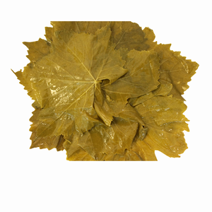 ใบองุ่นในน้ำเกลือ30ออนซ์ (850ก.) ราคาถูกจากเวียดนาม - Product Image 5