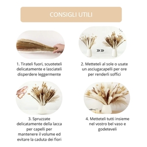 Ensemble de 50 herbes décoratives séchées naturelles, herbe de la pampa et fleurs séchées de style bohème pour la décoration de la maison et des vases de mariage - Product Image 3