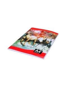 Hot Sale Irish Executive <b>A4</b> Register with Premium Hardcover and Smooth Paper for Office and Meetings Available for Best Price - Product Image 3