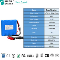 Batterie LiFePO4 12,8 V 2 Ah, pack de batteries au lithium rechargeable, personnalisé pour caméra de sécurité, traceur GPS, appareil IoT, OEM ODM